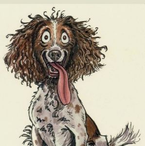 Meet your Posher, Connie